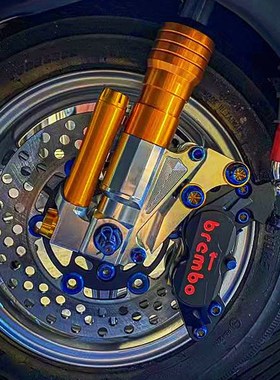 DIO50/1e8/27//28/ZX34/35期改装大对4 200MM浮动盘卡钳下泵碟煞