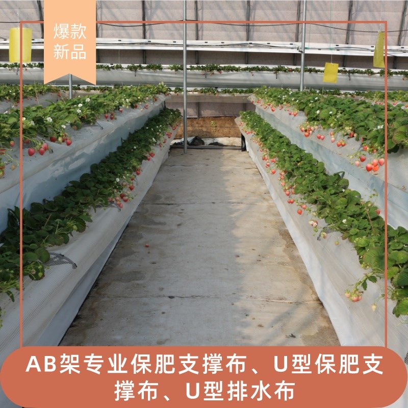草莓种植基质兜保肥支撑布温室大棚无土栽培设备基质兜