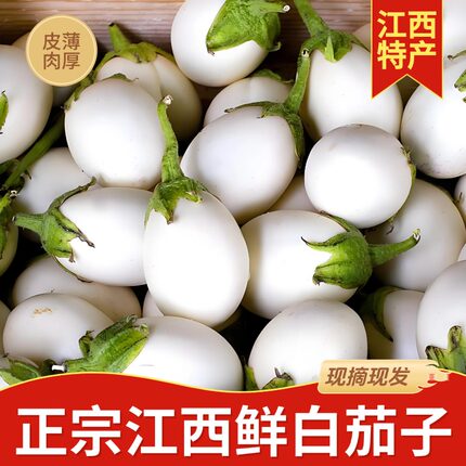 江西白茄子鄱阳本地白茄子现摘发货鄱阳特产
