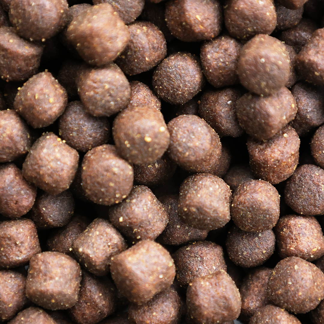 测试链接 勿删勿动