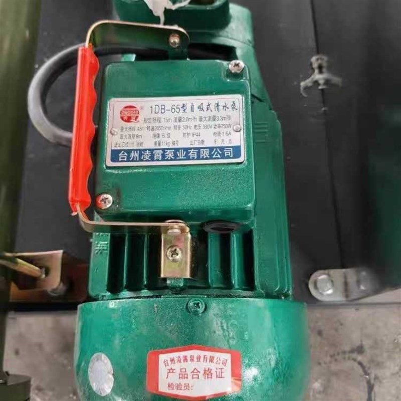 台州凌霄泵业 1DB-65型自吸式清水泵 原装品质保证