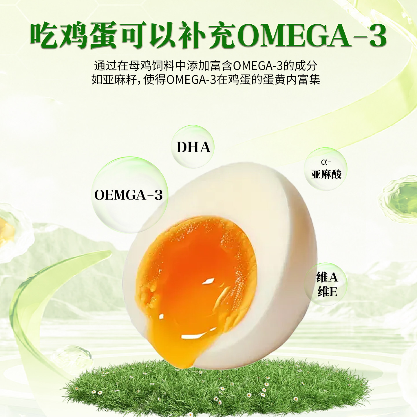 山东菏泽牡丹可生食DHA鸡蛋