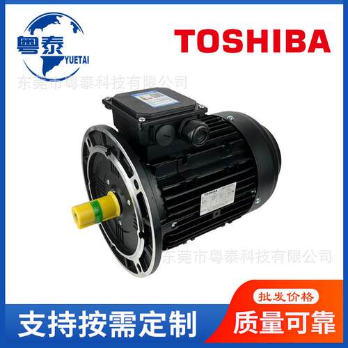 上海东芝电机SWEA63718090100112132大连东芝电机TD-90L4