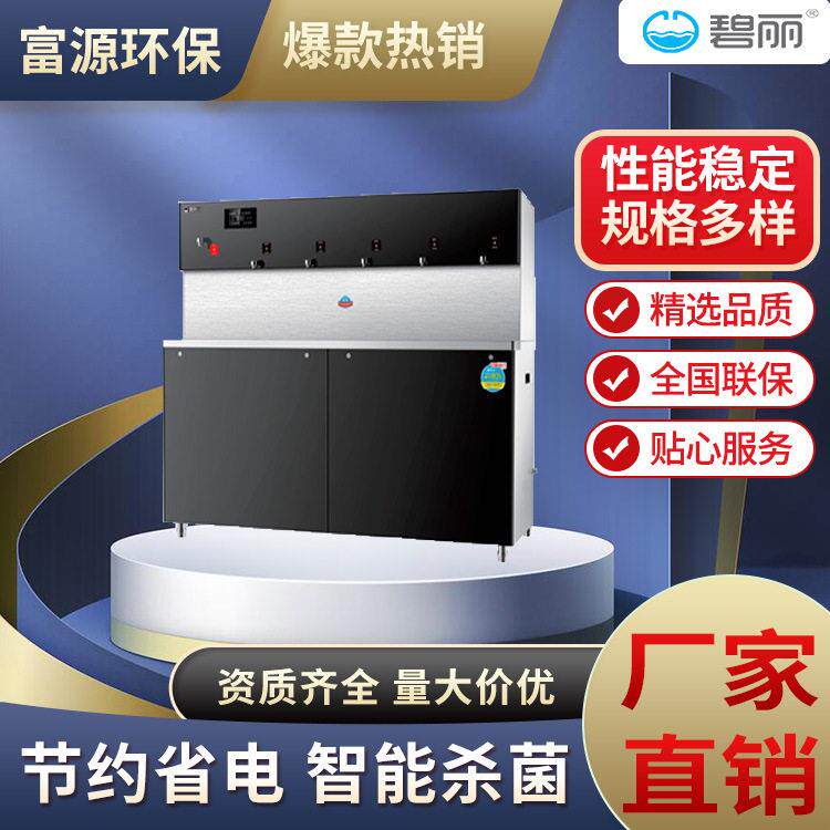 碧丽节能饮水机按键节能开水器成都工厂学校公室直饮机净水器