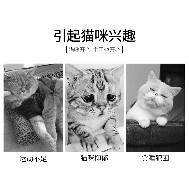 猫爪激光逗猫棒红外线多图案六合一逗猫笔USB充电宠物用品可爱
