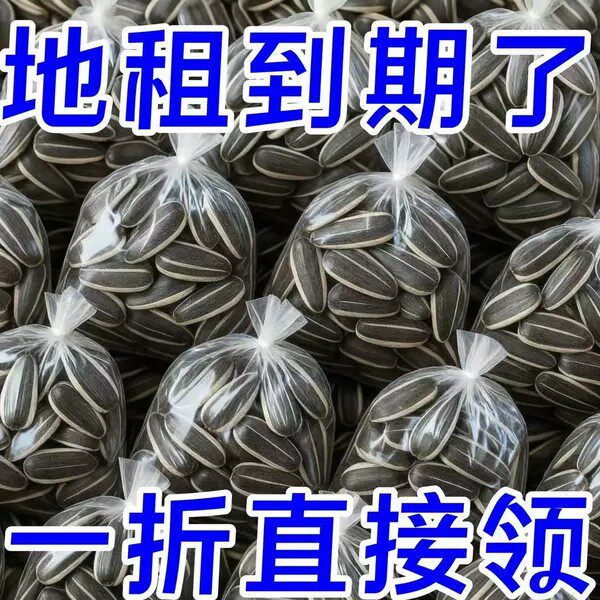 【大颗粒】内蒙古新货瓜子精选生葵花籽散装新货毛嗑批发零食年货