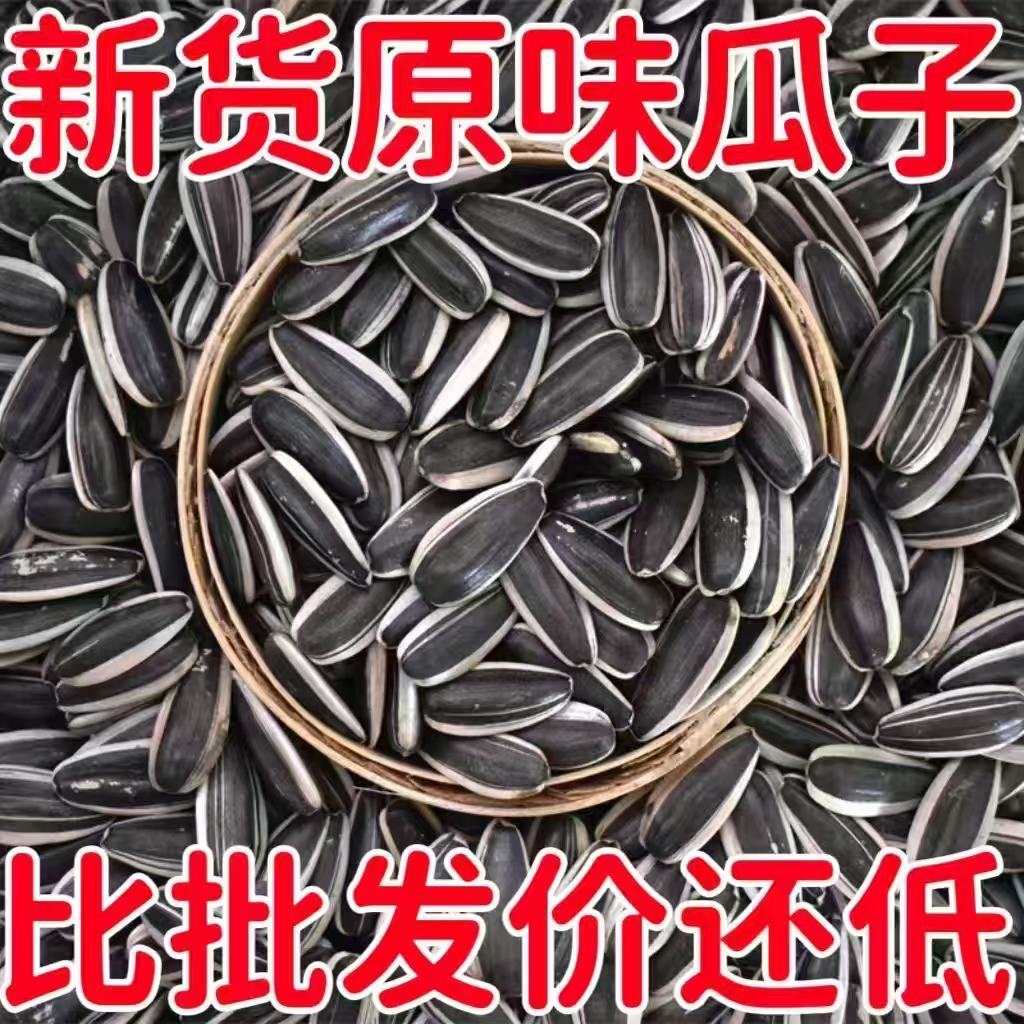 特价】现炒原味瓜子新货内蒙古大颗粒独立装葵花籽休闲批发大袋