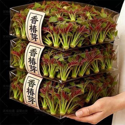 【低价抢】头茬嫩香椿芽26年新鲜盐渍椿芽山东香椿芽嫩芽速食菜
