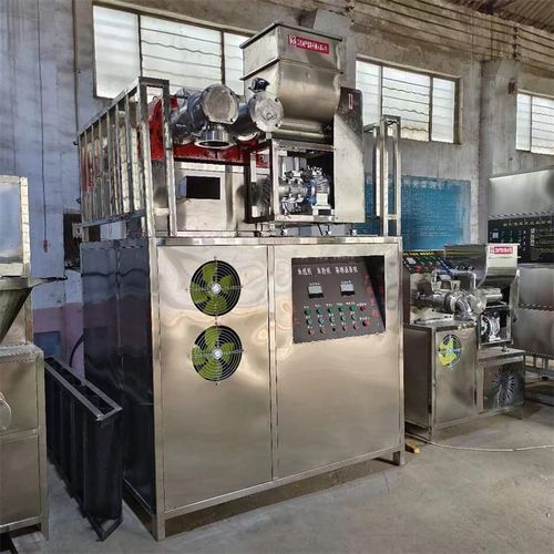 米粉机全自动杂粮家用小型玉米面条机自熟年糕机多功能双筒米线机