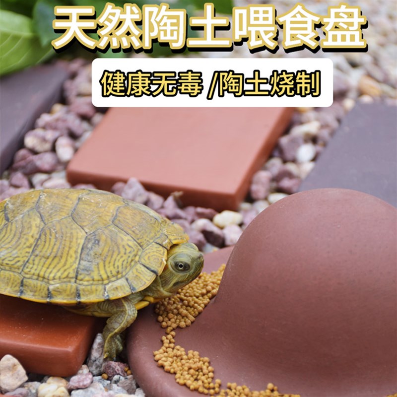 黄缘龟乌龟喂食盘半水龟安缘龟箱龟锯缘喂食龟苗餐盘食盆新品