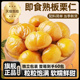油栗仁坚果即食干果健康零食 栗子板栗仁即食小包装 农科院推荐