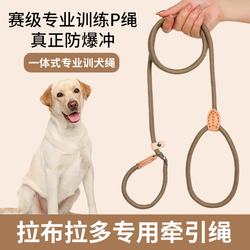 拉布拉多专用狗狗绳子防爆冲P链遛狗牵引绳防挣脱狗链子中大型犬