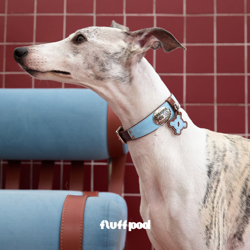fluffpod抚拍狗狗中小型犬项圈