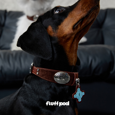 fluffpod抚拍宠物狗狗真皮项圈