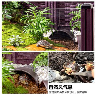 乌龟饲养箱家用黄缘龟陆龟半水龟生态造景缸特大号爬虫养殖盆