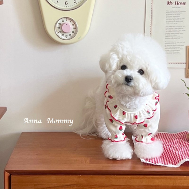 春夏狗狗衣服宠物花边裙两脚衣背心泰迪比熊博美小型幼犬猫咪可爱