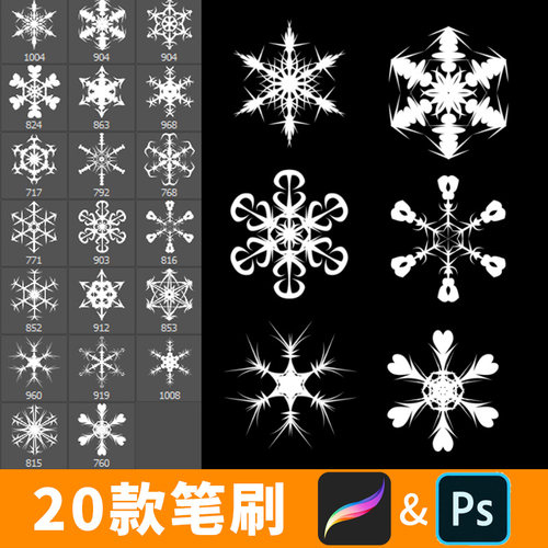 procreate笔刷ps笔刷冬季冬天雪花纷飞雪景下雪飘雪手绘冰雪B431