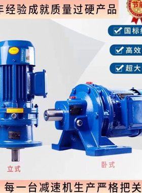 摆线 线针轮减速机摆线 线减速机小型减速机立式380V铜芯电机减速