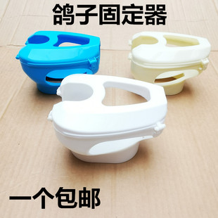 鸽子用品用具喂药固定架疫苗固定器 信鸽拍照看眼睛固定支架包邮