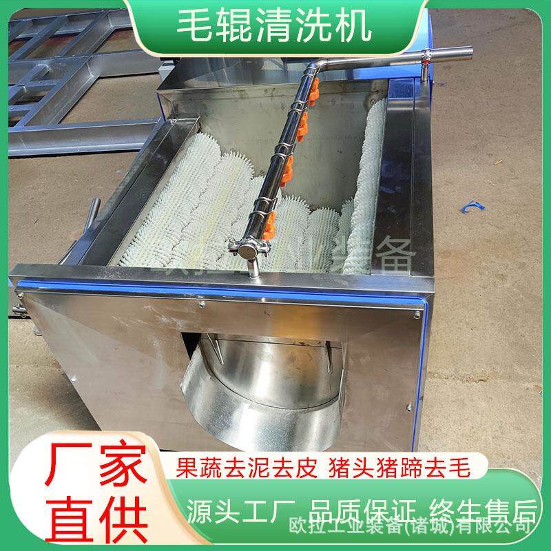 萝卜莲藕去泥毛刷清洗设备 波浪毛辊清洗去皮一体机苹果清洗设备
