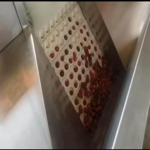 李子樱桃青梅去核机全自动杨梅去核机橄榄椰枣专业去核设备厂家