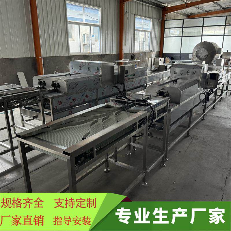 单排全自动洗蛋机畜牧养殖业鸭蛋鹅蛋去污去泥清洗机器蛋品清洗机