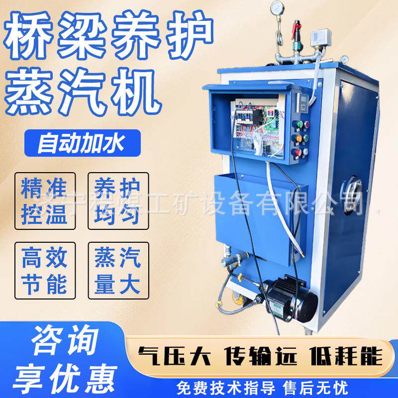 蒸汽发生器道路养护电加热发生器工业节能生物质燃油燃气锅炉