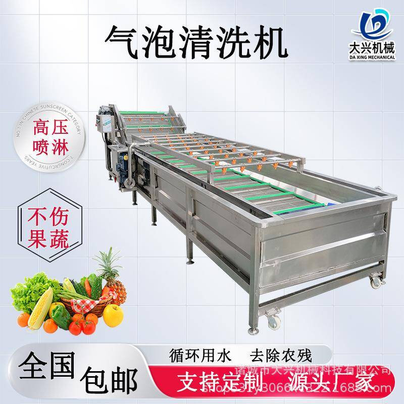 蕨菜气泡清洗机加工设备山野菜喷淋清洗机价格香椿刺老芽清洗机