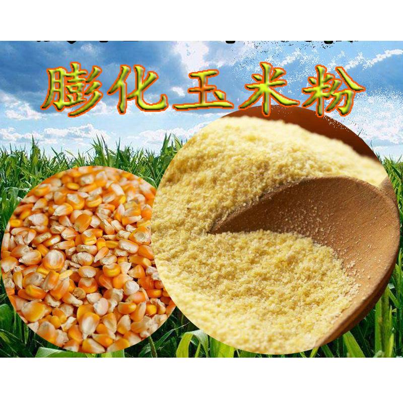 膨化玉米粉生产设备 膨化营养粉设备 膨化玉米粉生产线机器