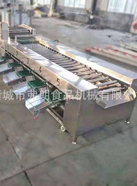 树莓滚杠分级机 杨梅不伤果大小分级机 不锈钢果蔬分级机厂家