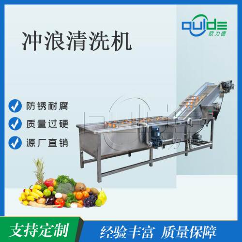 大型冲浪式清洗机 叶菜类高压喷淋清洗线 食品加工专用清洗设备