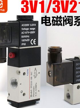 -310V21-220001011气01-V3866/气动24V/电磁阀0153-0电子-V0/41阀