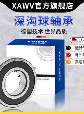 RS18143326363 高速6进口3 66ZZ267 1电机0R6静音163  319轴承15Z