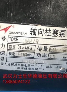 /4020//16/B0厂/6济南N/32T//P8镇机械10/RL海X50轴向柱塞泵D0253