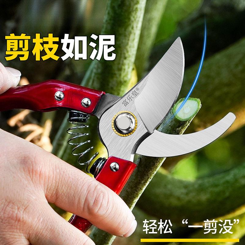 修枝剪刀果树枝修花剪刀盆景园艺工具修剪花木花艺剪打枝剪