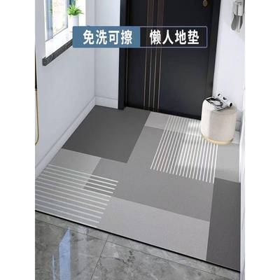 免洗PVC地毯地垫家用客厅入户进门口门垫过道门厅玄关脚垫可擦洗