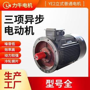 37Y280M 30Y280S 冷轧钢片纯铜线三相异步电动机Y250M