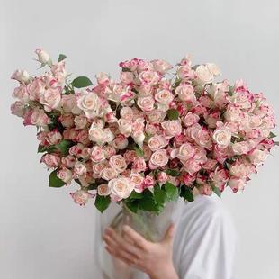 现货折射玫瑰花多头泡泡鲜花云南直发鲜切花女神节粉色玫瑰送礼