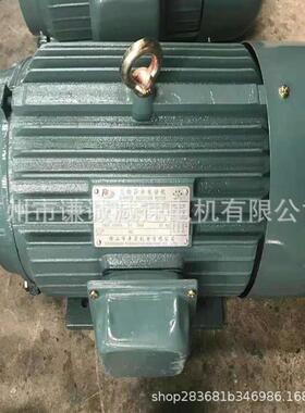 立式/卧式/立卧式3W三相交流异步电动机YE3-100L-2/JS-100L-2