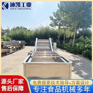 秋葵气泡清洗机厂家供应樱桃气泡清洗机设备果蔬清洗机设备