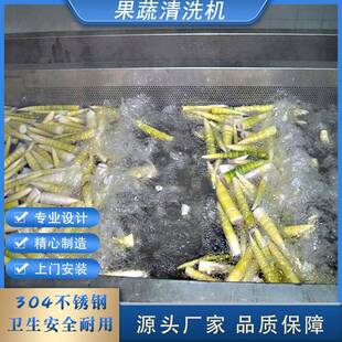 直销全自动果蔬气泡清洗机果蔬臭氧洗菜机大型香菇清洗设备