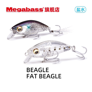 Megabass BEAGLE路亚假饵盐水海水微物米诺军鱼草鱼马口 FAT