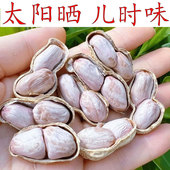 25年广东水煮晒干花生原味盐咸干农家带壳咸脆太阳晒坚果肇庆花生