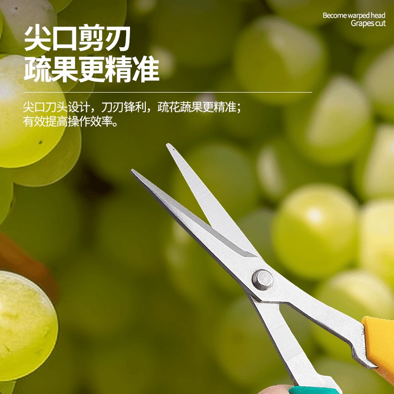 翘头葡萄剪园艺幼m苗剪刀修果修剪嫩枝剪刀花椒水果疏果稀果剪