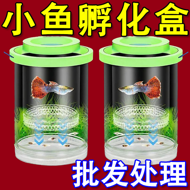 孔雀鱼鱼缸繁殖新款隔离