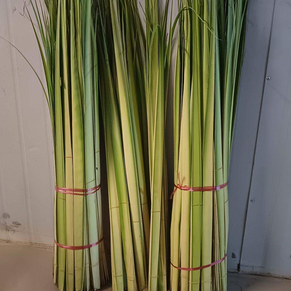 新鲜 剑叶 10片/把 日料西餐酒店西餐摆盘装饰点缀花草插花篮华艺