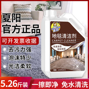 夏阳地毯地垫清洁专用神器酒店清理宾馆干 干洗剂清洗剂强力清洁
