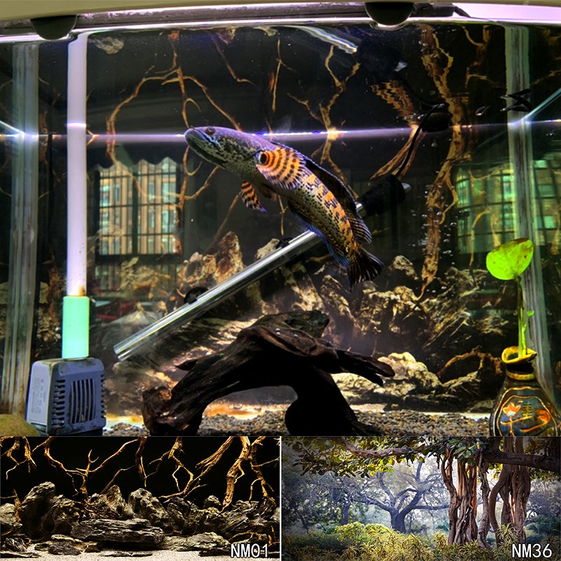 鱼缸背景纸画高清图3d立体壁纸水族箱贴纸壁画造景装饰板南美雨林图片