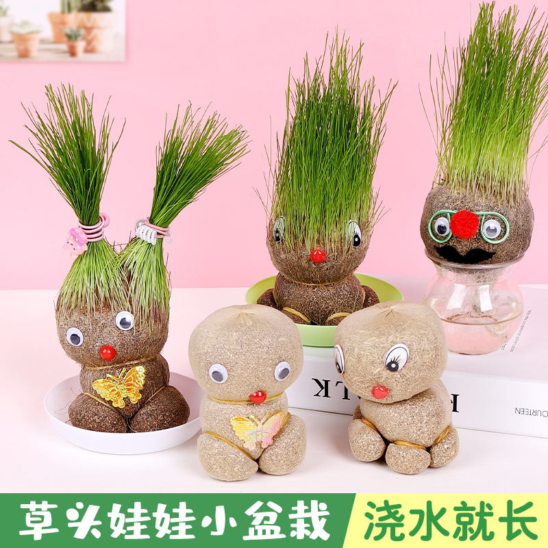 草头娃娃开花浇水头上长草迷你小盆栽绿植微景观桌面摆件植物儿童