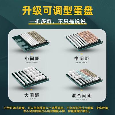 芦丁鸡孵化器全自动器小型家用儿童幼鸡宠物蛋卢丁鸡蛋迷你孵化箱